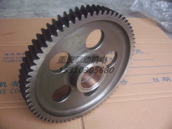 康明斯齿轮总成 3004681