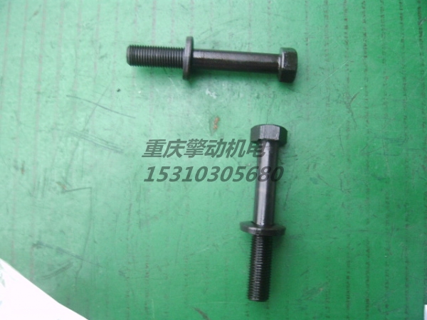 康明斯带垫螺栓 3011714