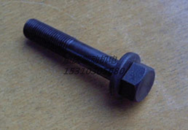 康明斯带垫螺栓 3011713