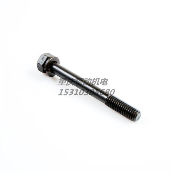 康明斯带垫螺栓 3012478