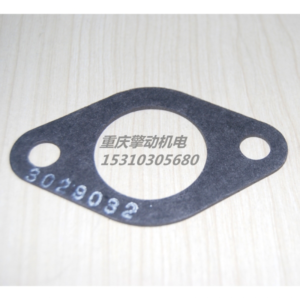 康明斯输水管接头衬垫 3029032