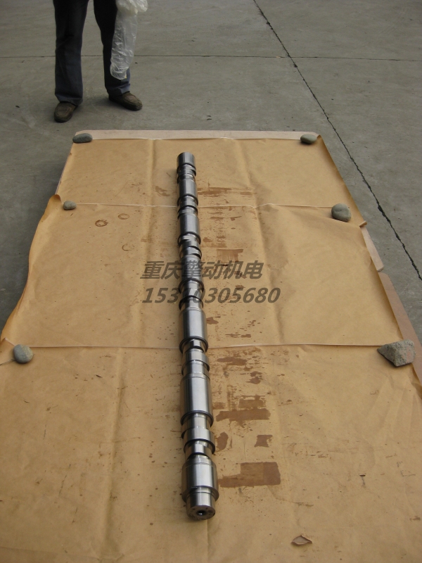 康明斯凸轮轴 3066884