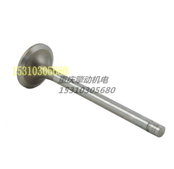 康明斯排气门组件 3803529