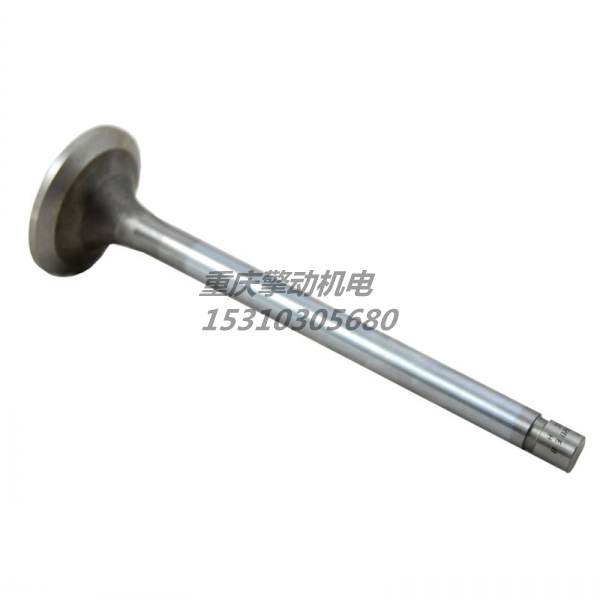 康明斯进气门组件 3803518