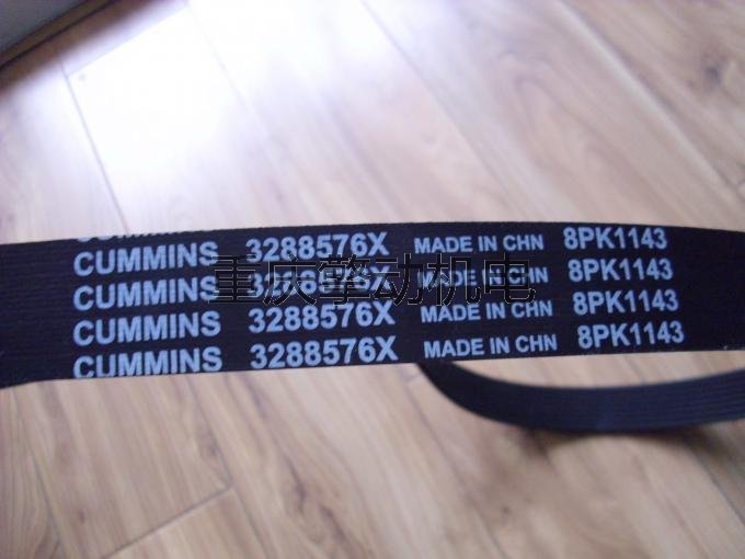 康明斯多槽皮带 3029175