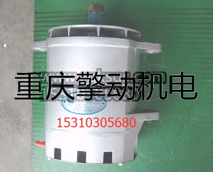 康明斯 NT,NH发电机4060811