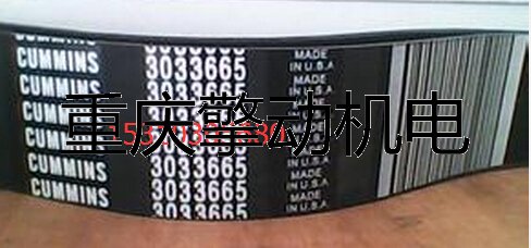 康明斯 G19 ,QSK19动机皮带3033665