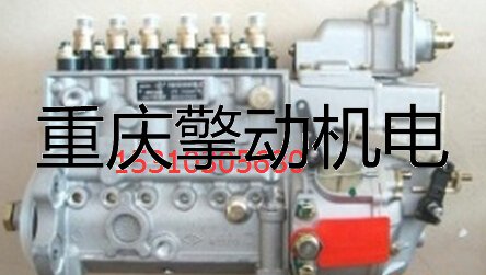 康明斯 燃油喷射泵总成 C3975927